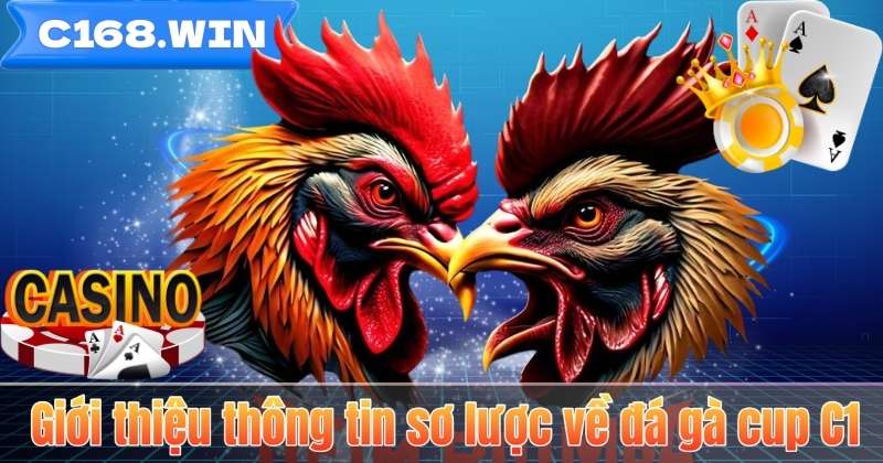 Đá Gà Cup C1 – Sân Chơi Cá Cược Đỉnh Cao Cho Người Đam Mê Giới thiệu thông tin sơ lược về đá gà cup C1